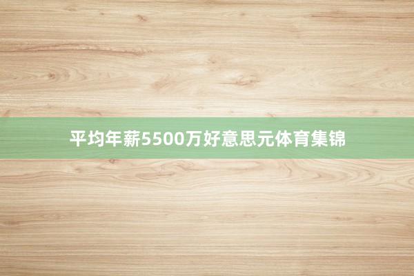 平均年薪5500万好意思元体育集锦